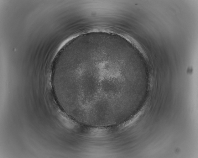 X0000094960830200711291439
