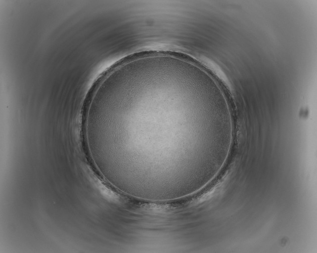 X0000094960831200711291439
