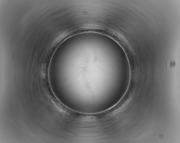 X0000094960833200711291439