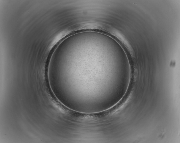 X0000094960834200711291439