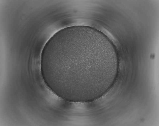 X0000094960836200711291439