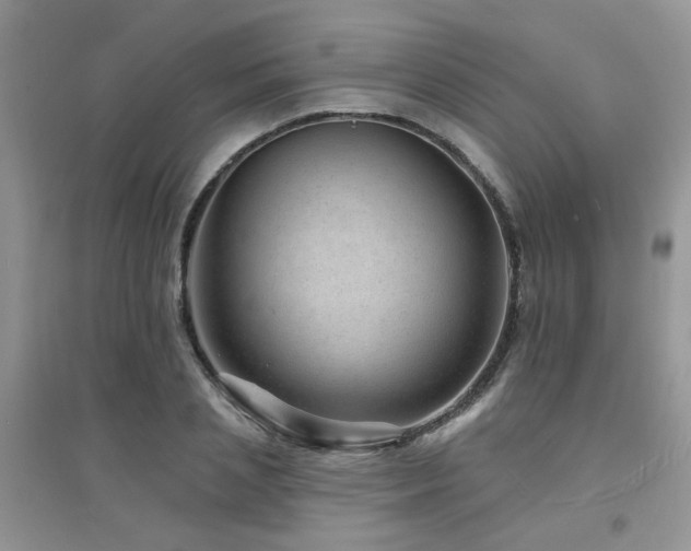 X0000094960837200711291439