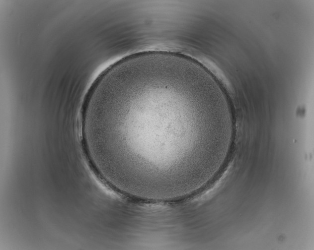 X0000094960838200711291439