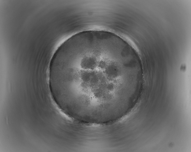 X0000094960839200711291439