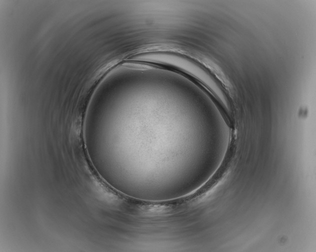 X0000094960841200711291439