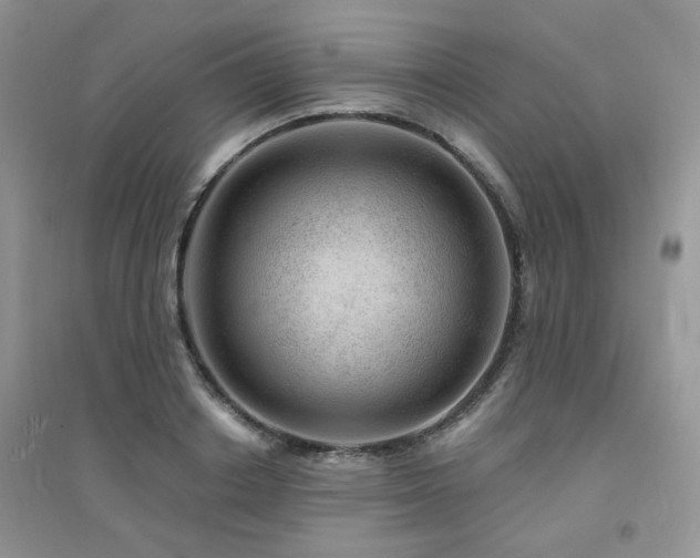 X0000094960842200711291439