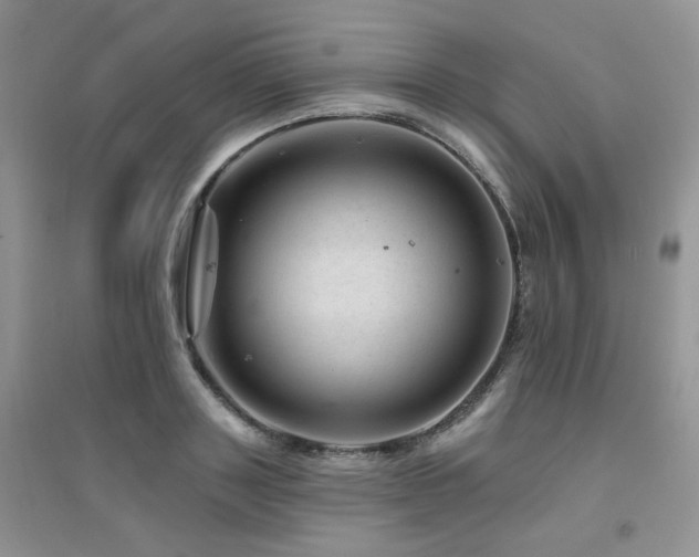 X0000094960843200711291439