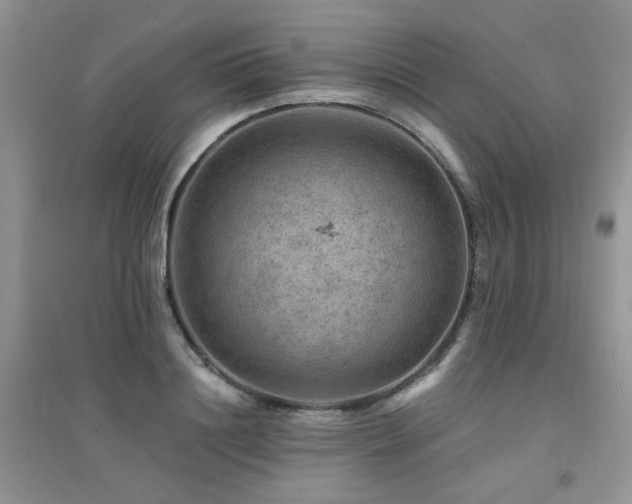 X0000094960844200711291439