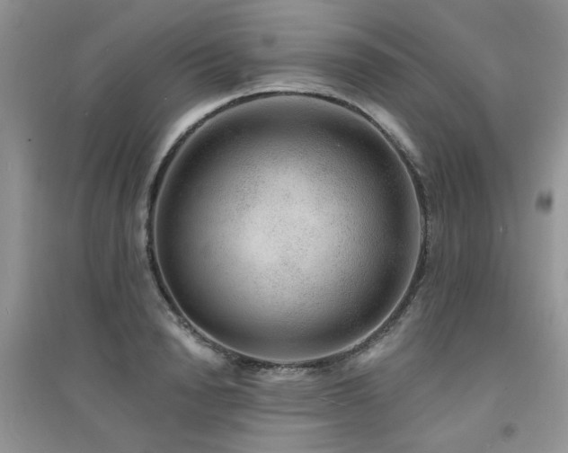 X0000094960846200711291439
