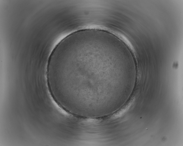 X0000094960847200711291439