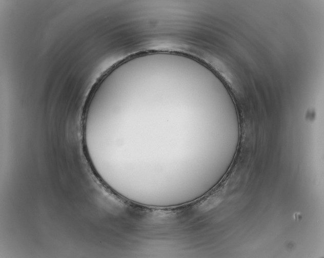 X0000094960848200711291439