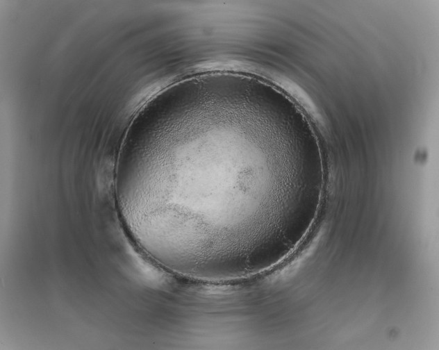 X0000094960849200711291439