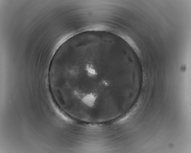 X0000094960850200711291439