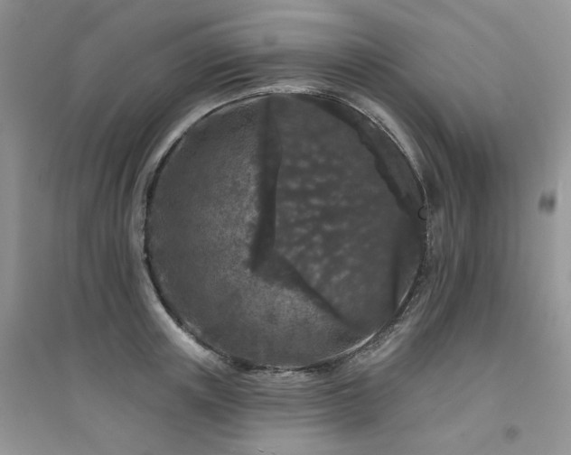 X0000094960851200711291439