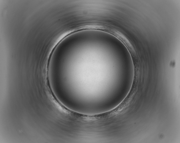 X0000094960852200711291439