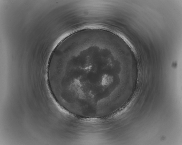 X0000094960853200711291439