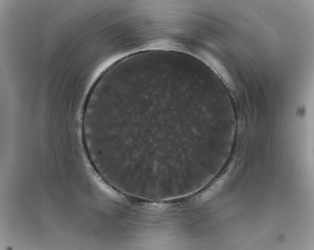 X0000094960854200711291439
