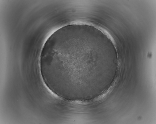 X0000094960855200711291439