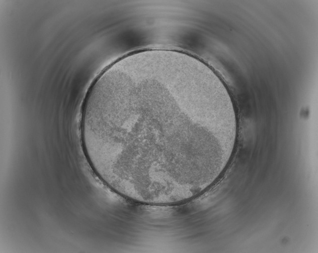 X0000094960856200711291439