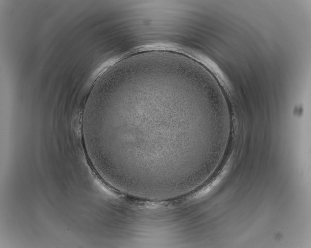 X0000094960857200711291439