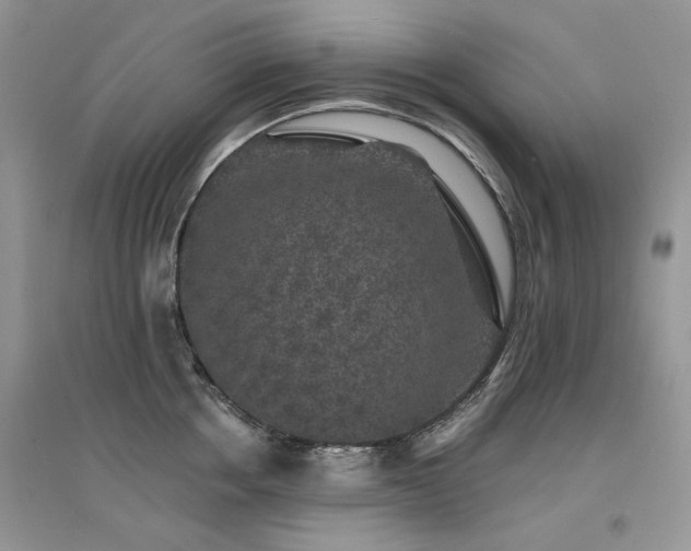 X0000094960858200711291439