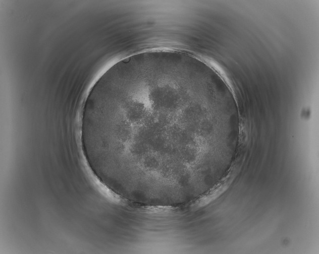 X0000094960859200711291439