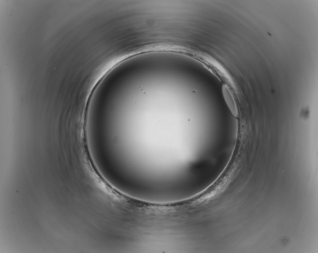 X0000094960860200711291439