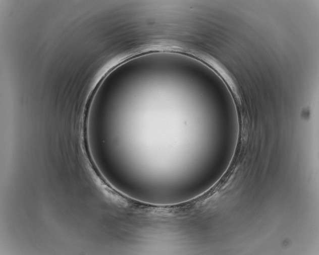 X0000094960861200711291439