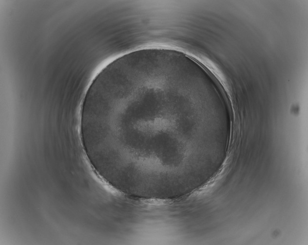 X0000094960862200711291439