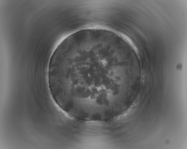 X0000094960863200711291439