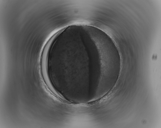 X0000094960864200711291439