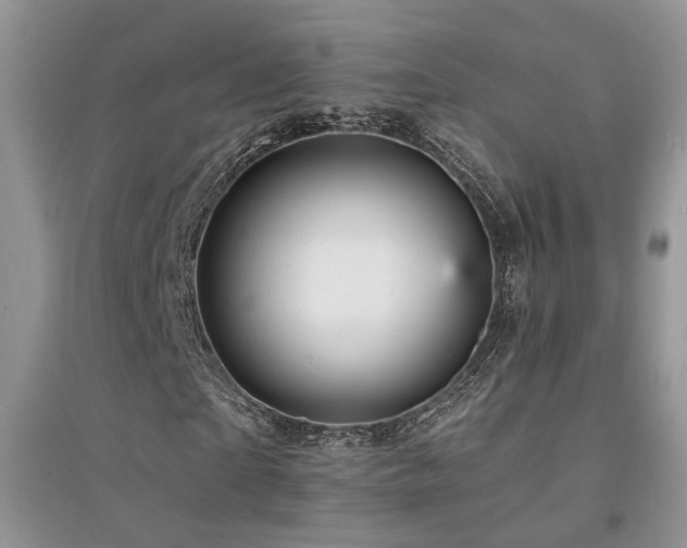 X0000094960865200711291438
