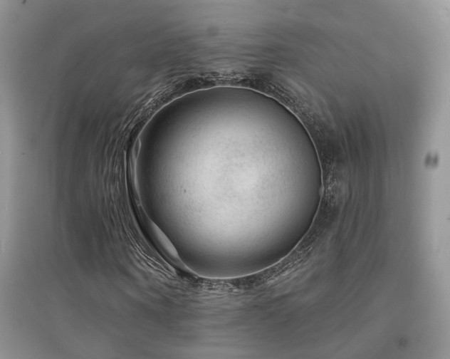 X0000094960866200711291438