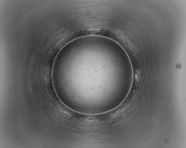 X0000094960867200711291438