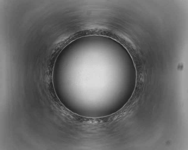X0000094960869200711291438
