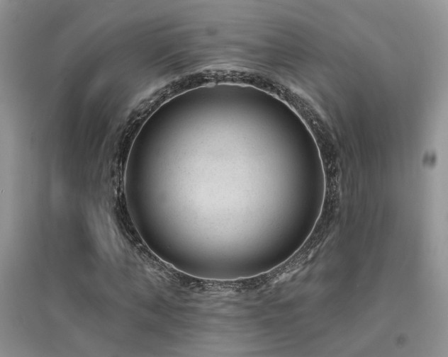 X0000094960870200711291438