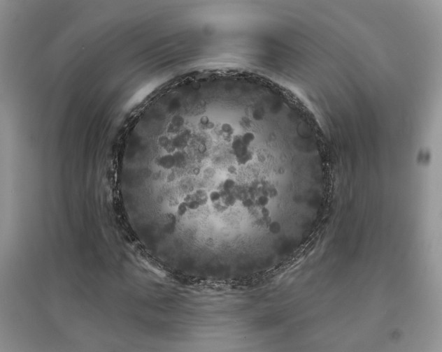 X0000094960871200711291438