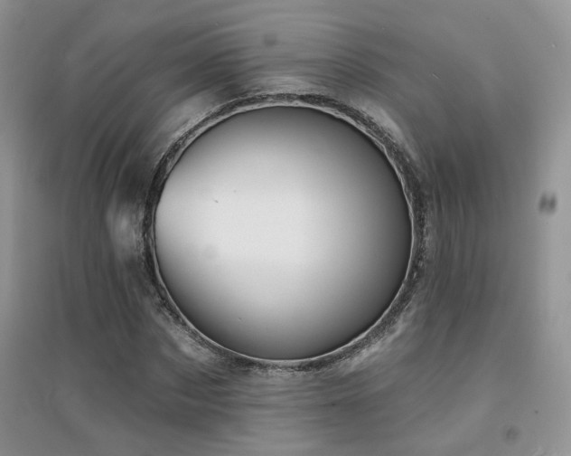 X0000094960873200711291438