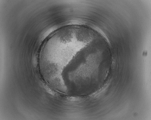 X0000094960874200711291438