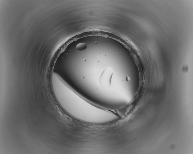 X0000094960877200711291438