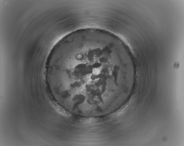 X0000094960879200711291438