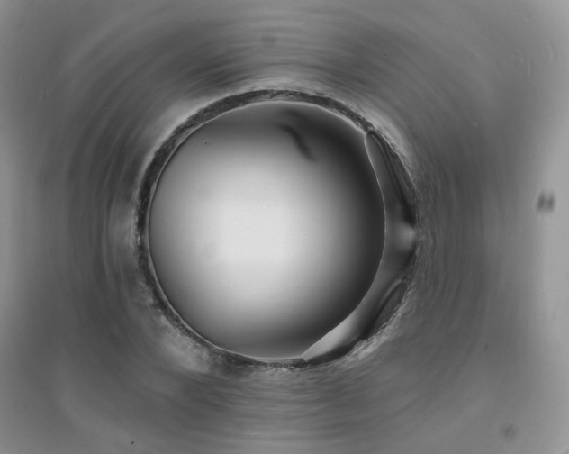 X0000094960880200711291438