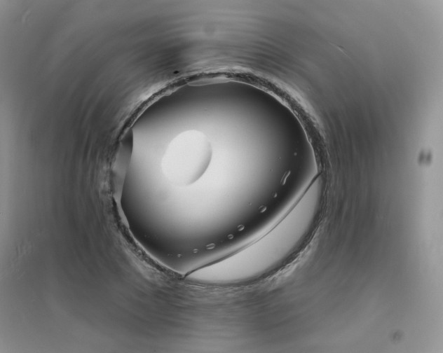 X0000094960881200711291438