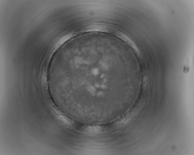 X0000094960882200711291438