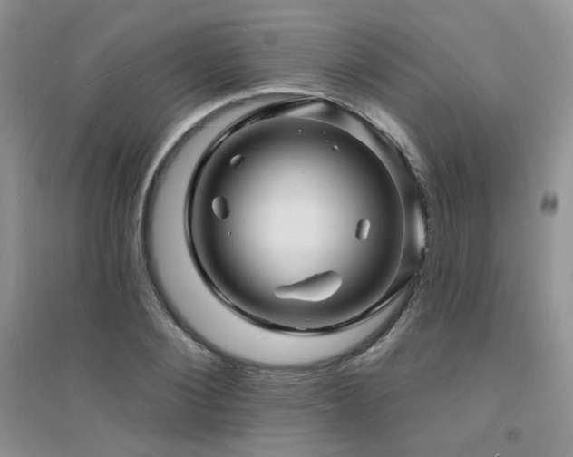 X0000094960884200711291438