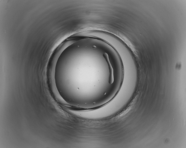 X0000094960885200711291438