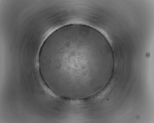 X0000094960887200711291438