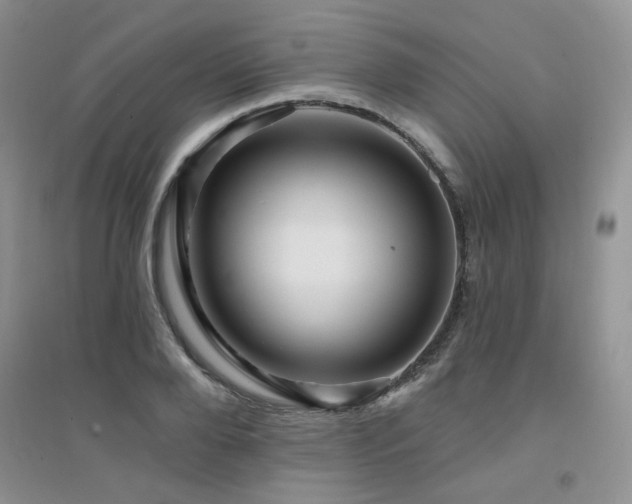 X0000094960888200711291438