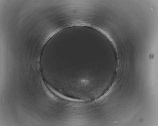 X0000094960889200711291438