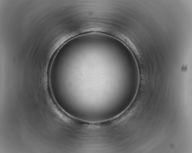 X0000094960890200711291438